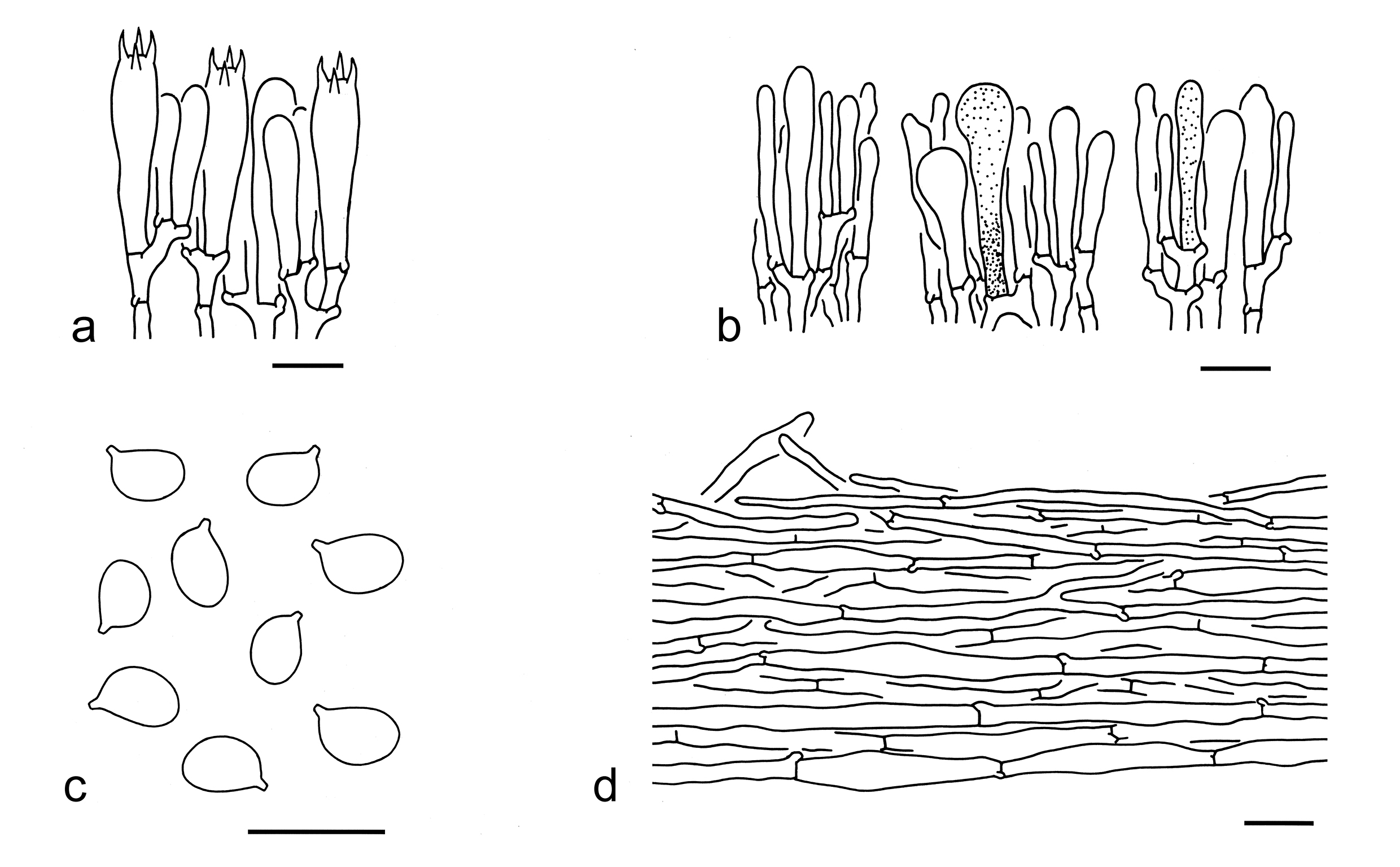Figure 73
